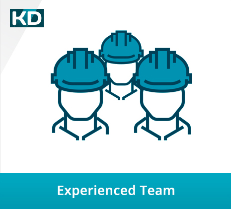 Experienced Team